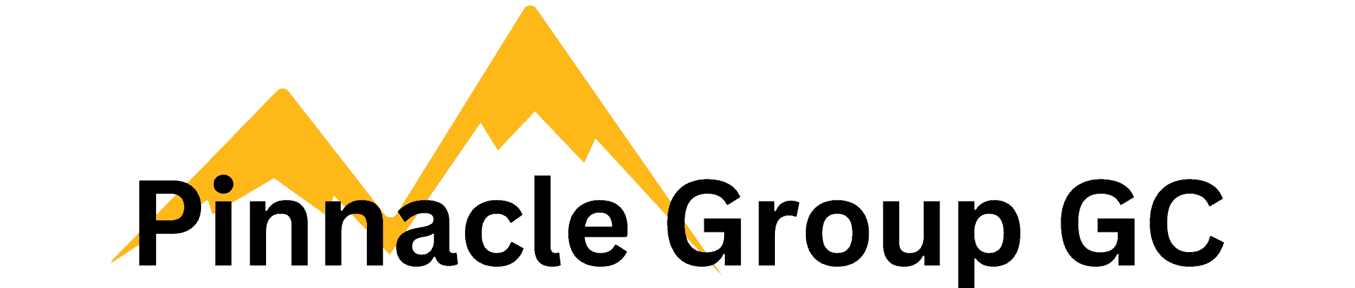 black text pinnacle group logo